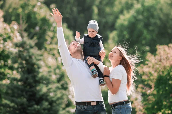 Familia feliz con un hijo pequeño en el fondo de un parque de verano . —  Fotos de Stock