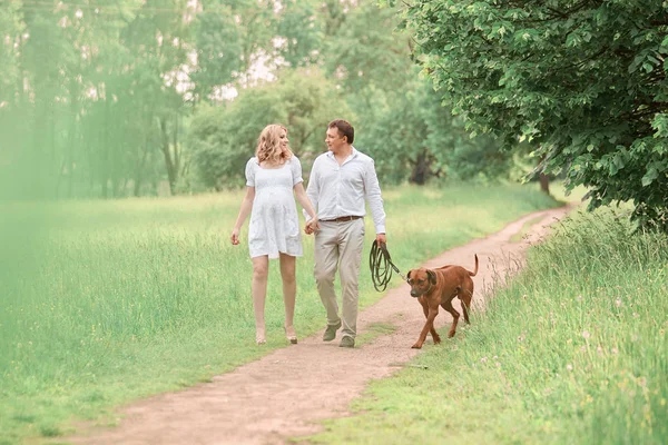 Piękny męża i żonę w ciąży z psem na spacerze w parku — Zdjęcie stockowe