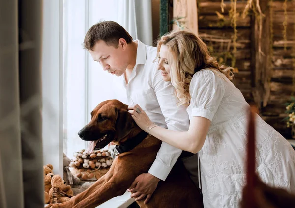Glückliches Paar mit Haustier, das aus dem Fenster im Wohnzimmer schaut — Stockfoto