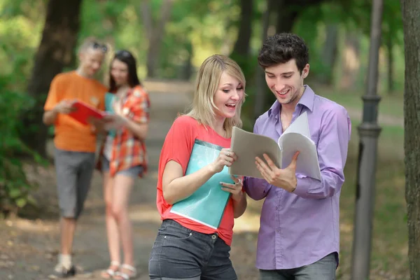 Pareja de estudiantes con un portapapeles discutiendo preguntas de examen de pie en el Parque — Foto de Stock