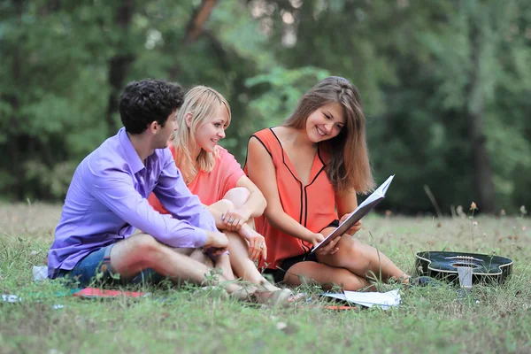 Portrait of a student team sitting on the grass in the Park — Stock Photo, Image