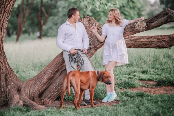 Jong gezin met hun hond staan in de buurt van een grote boom. — Stockfoto