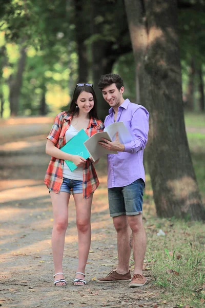 Casal de alunos discutir seus registros enquanto em pé no parque — Fotografia de Stock
