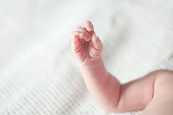 Kleine hand van een pasgeboren baby liggend in bed — Stockfoto