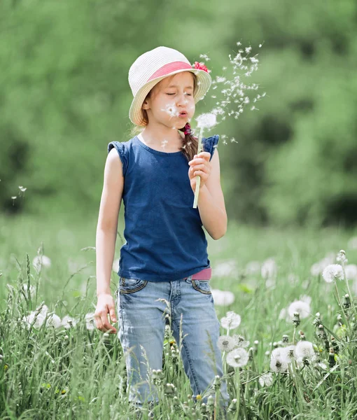 Niña sopla sobre un diente de león, de pie en un prado verde . —  Fotos de Stock