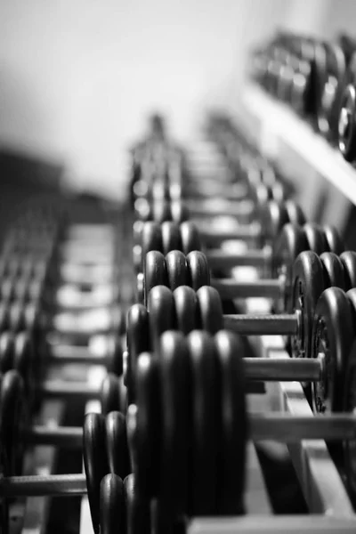 Filas de pesas en el gimnasio con alto contraste —  Fotos de Stock