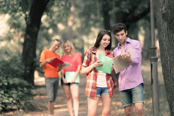 Grupa studentów omawiając pytań egzaminacyjnych w parku — Zdjęcie stockowe