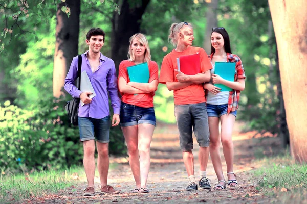 Grupo de jóvenes estudiantes felices caminando al aire libre. Mirando a un lado — Foto de Stock