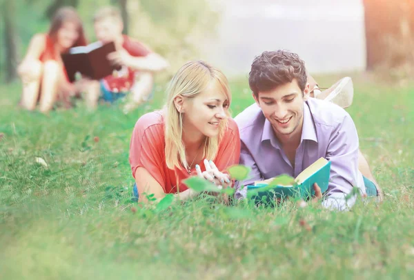 Couple of successful student with textbooks in the park on a sunny lawn on the background of her colleagues — Stock Photo, Image