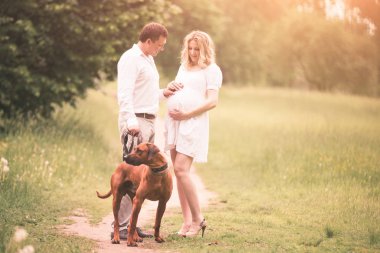 Mutlu çift müstakbel anne ve baba parkta köpekle yürüyorlar.