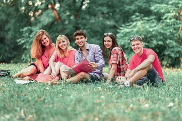 Skupina studentů s notebooky v parku za slunečného dne — Stock fotografie