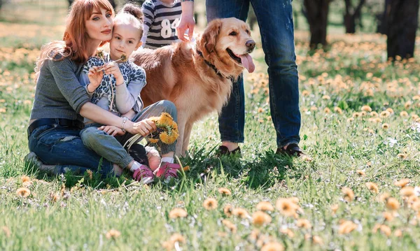 Щаслива сім'я і їх домашня тварина на траві у весняному парку  . — стокове фото