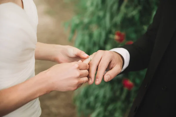 De près. le couple échangeant leurs anneaux — Photo