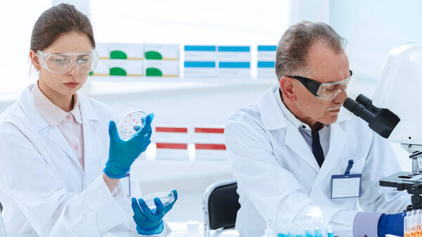 close up. Microbiology scientists work in the laboratory .