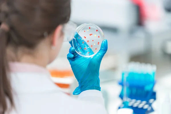 Zárj be! női tudós egy Petri-csészével . — Stock Fotó