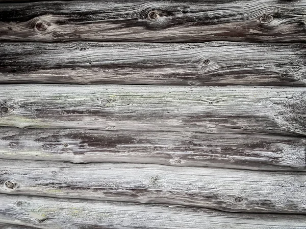 Close up. the background image is a fragment of a wooden fence. — Stock Photo, Image