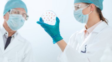 Mikrobiyoloji bilimcileri viral hücrelerin gelişimini tartışıyor .
