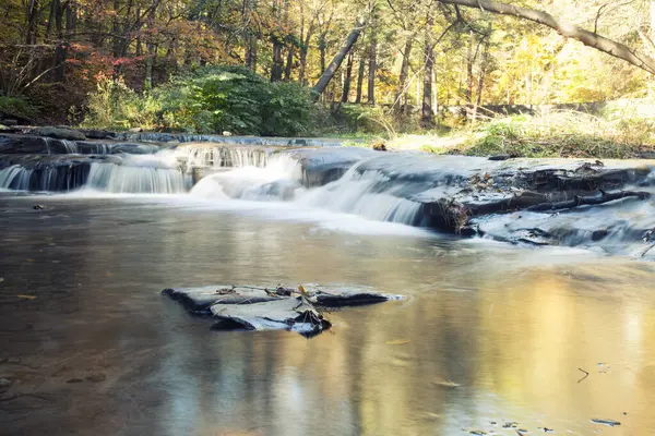 Поток Волчьем Ручье Летчворт Парк Штата Длительной Экспозиции — стоковое фото