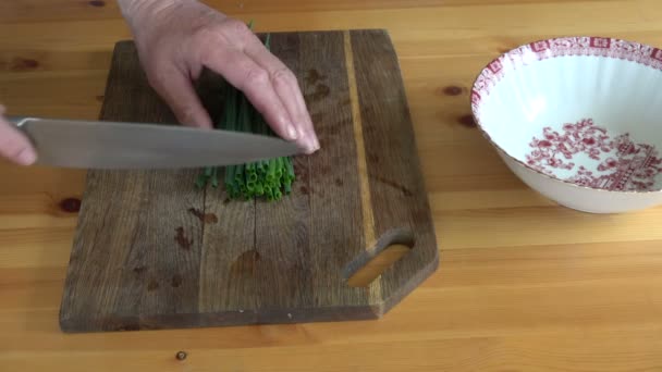 Cut Fresh Green Onions Wooden Cutting Board — Stock Video