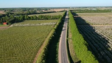 güzel yol ve çiçek açması elma ağacı Bahçesi, havadan görünümü