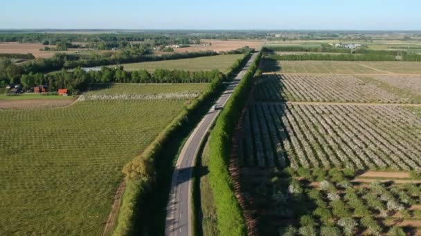 Vista Aérea Sobre Camino Huerto Manzanos Flor — Vídeos de Stock