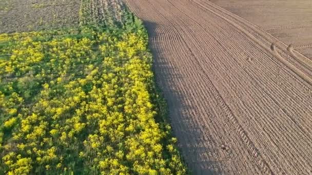 Prachtige Lente Landbouwgrond Tijdvelden Luchtfoto — Stockvideo