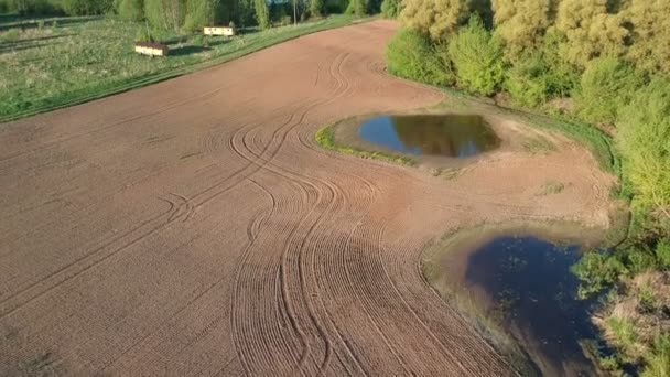 Frühling Ackerland Felder Mit Wasserpfütze Und Zwei Große Bienenhaus Auf — Stockvideo