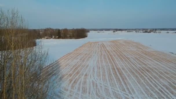 Drohne Fliegt Über Winterbauernhof Feld Mit Weizenstoppeln Schnee Und Büschen — Stockvideo