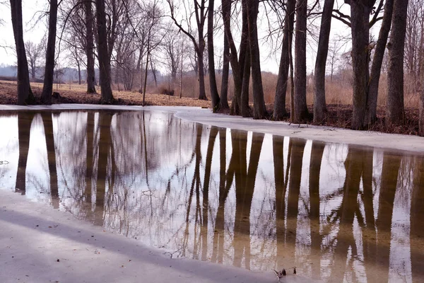 Winterparklandschaft Mit Alten Bäumen Und Teich Mit Schmelzwasser — Stockfoto