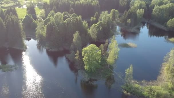 Hermoso Paisaje Del Lago Con Árboles Primavera Vista Aérea — Vídeos de Stock