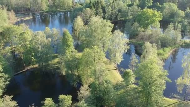 Drone Vliegen Boven Lake Landschap Met Bomen Lentetijd Luchtfoto — Stockvideo