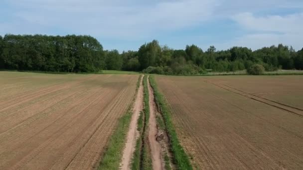 Ackerstraße Und Frisch Gesäte Felder Frühjahr Luftaufnahme — Stockvideo