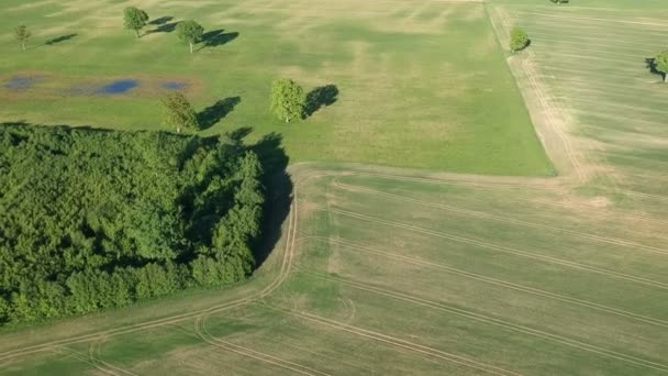 Красива Весняна Панорама Сільськогосподарських Угідь Гаями Деревами Вид Повітря — стокове відео