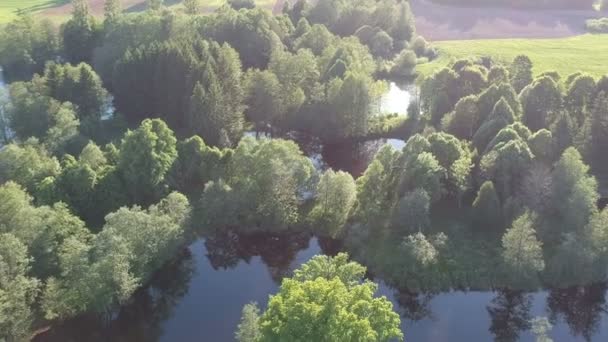 Sluneční Jezero Krajina Stromy Jarním Období Letecký Pohled — Stock video
