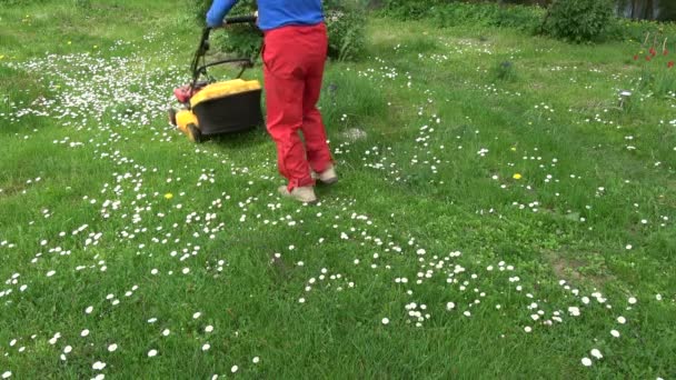 Jardineiro Fazenda Cortar Grama Primavera Com Cortador Grama — Vídeo de Stock