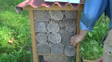 ağaçkakangiller bahçıvan metal net sabitleme böcek otelden koruma