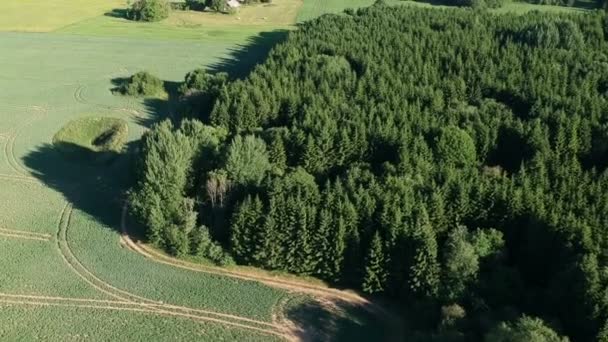 Schönes Sommerland Mit Landwirtschaftlichen Feldern Und Wald Luftaufnahme — Stockvideo