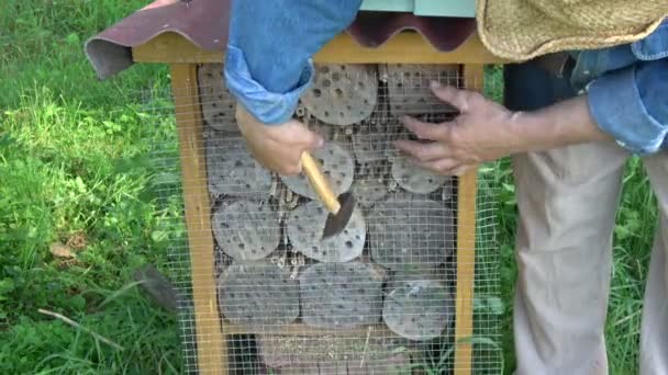 Verlijmen Van Metaal Net Insecten Hotel Voor Bescherming Van Spechten — Stockvideo