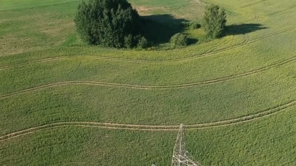 Drone Caduta Atterraggio Vicino Alta Torre Elettrica Sul Campo Fattoria — Video Stock