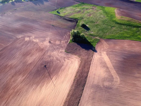 Seminato Coltivato Primavera Campo Agricolo Vista Aerea — Foto Stock