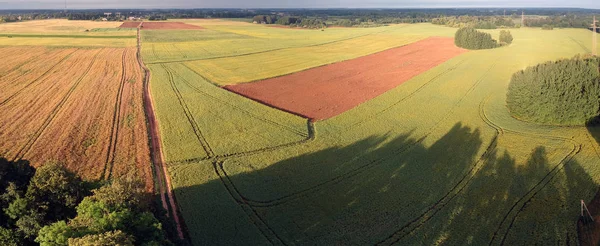 Panorama Tierras Agrícolas Verano Con Campos Colza Arado Fresco Mañana — Foto de Stock