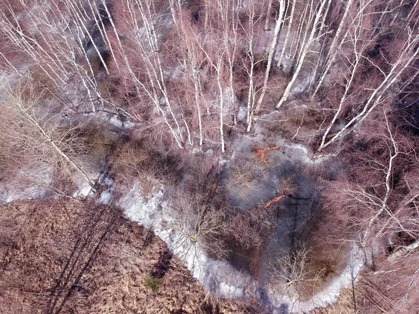 空撮で冬終わり森と水 Flod — ストック写真