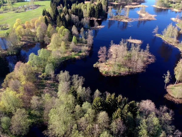 春の時間 空撮の木と日当たりの良い湖風景 — ストック写真
