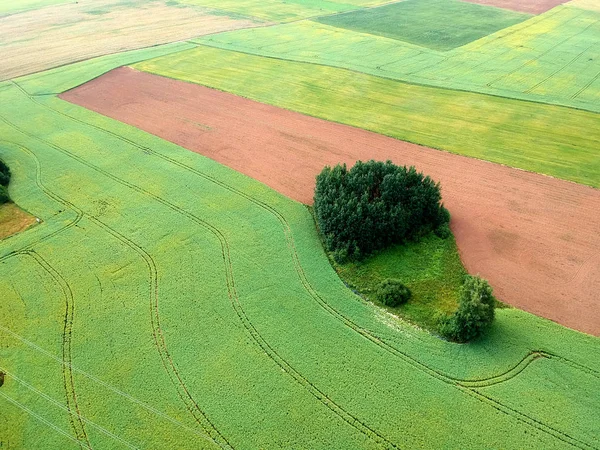 Sommerzeit Gepflügt Und Rapsfelder Luftaufnahme — Stockfoto