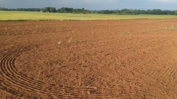 Freshly Plowed Fallow Field Summer Farmland Aerial View — Stock Video