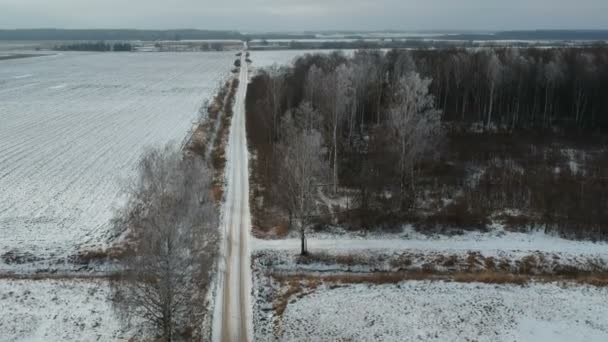 Kar Orman Hoarfrost Havadan Görünümü Ile Olan Karakış Kırsal Yol — Stok video