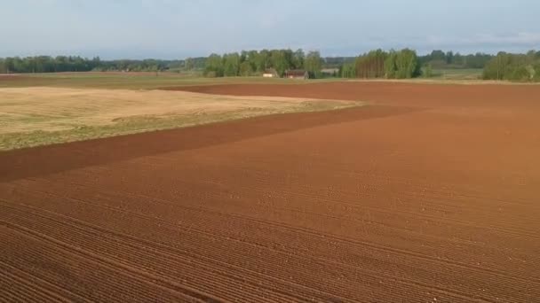 Весняний Сільськогосподарський Пейзаж Оранжевими Полями Вид Повітря — стокове відео