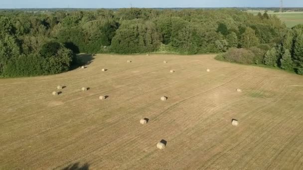 畑に干し草の山のある夏の時間の農地の牧草地 航空ビュー — ストック動画