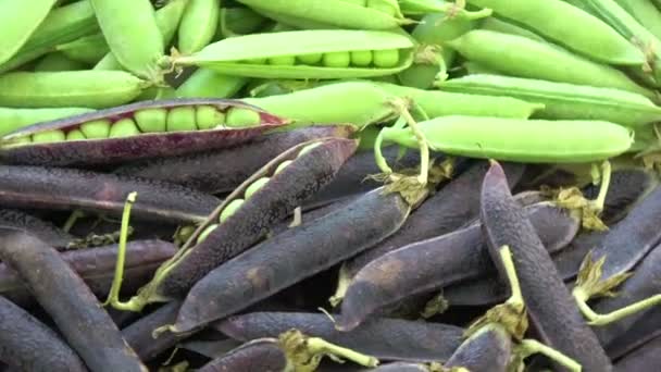 Vários Verde Violeta Vagem Ervilha Rotativa Fundo Alimentar — Vídeo de Stock