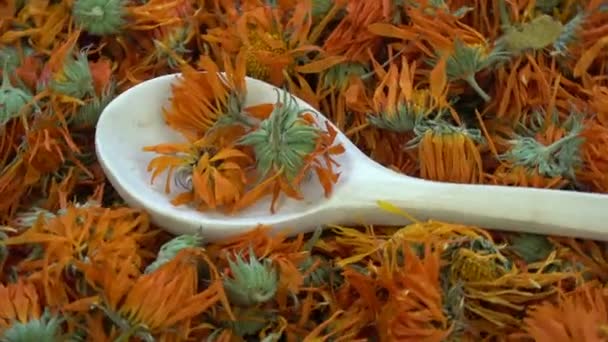 Calendula Séché Rotatif Fleurs Médicales Souci Fond Avec Cuillère Bois — Video